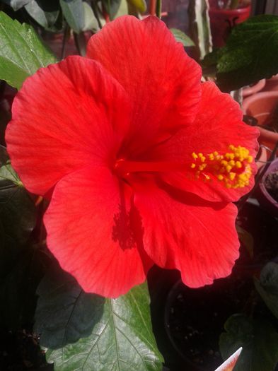 20160731_101127
