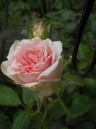 DSCN9814