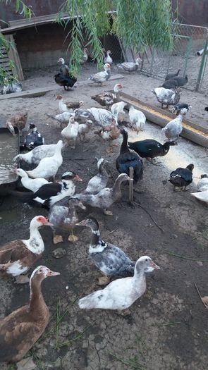 1469986336919-1388222088