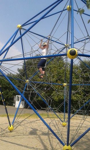 13680696_1141821455875062_2443244634708002453_n