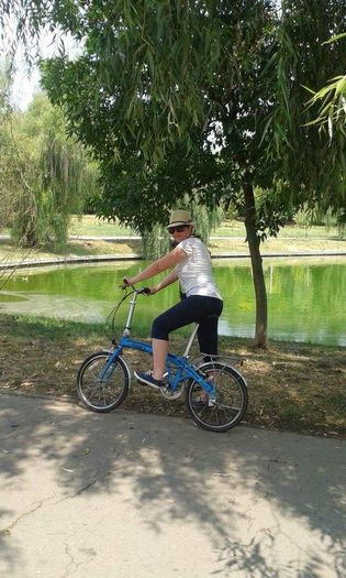 13895225_1141822165874991_4857683915840019831_n