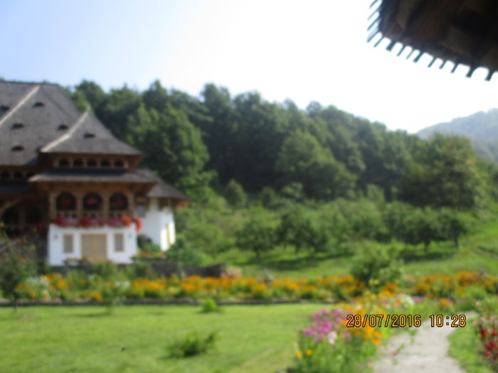 IMG_4901 - Manastirea Barsana