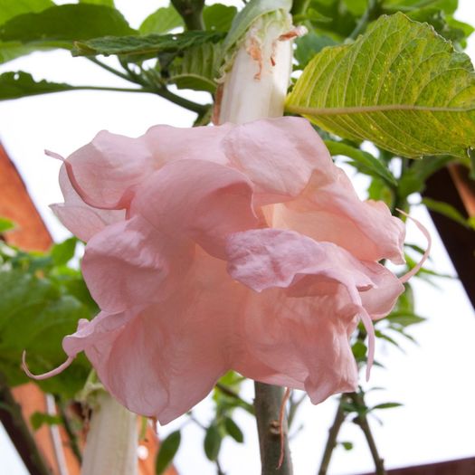 gallery_22_291_19237