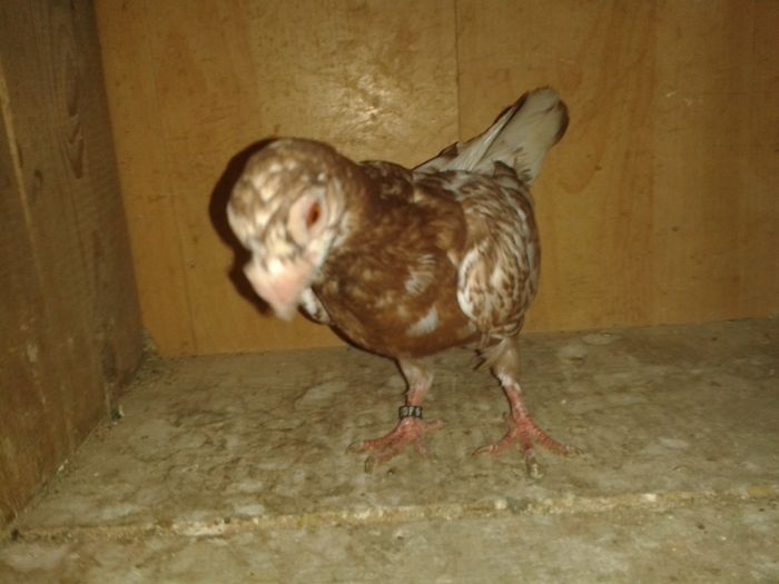 20160801_101805 - pui 2016