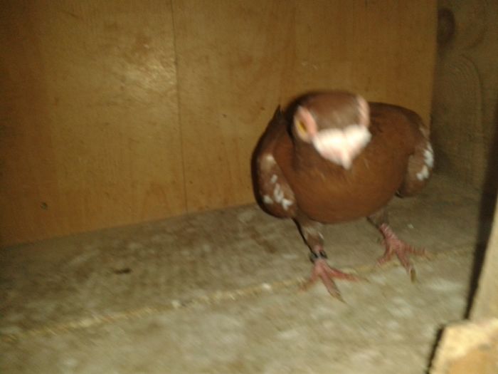 20160731_173917 - pui 2016