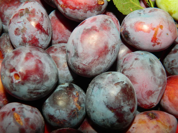 DSCN3328 - 2016 IULIE 3