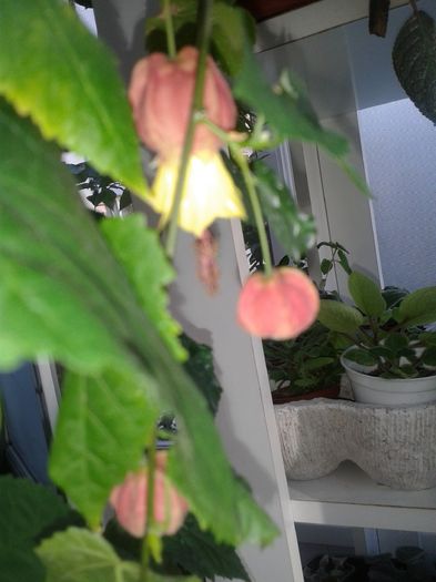 20160731_174244