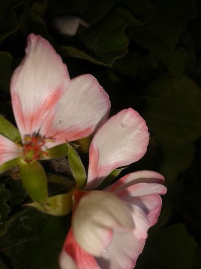 20160731_174441