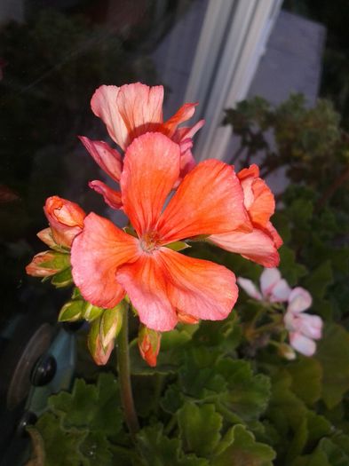 20160731_174507