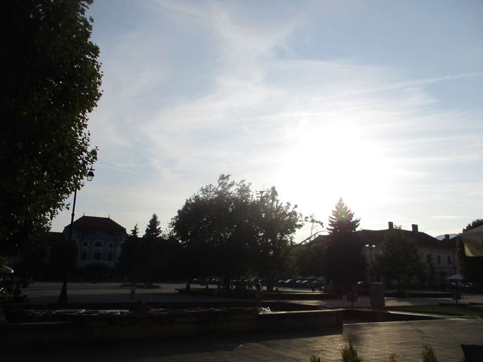IMG_4411 - Baia Mare