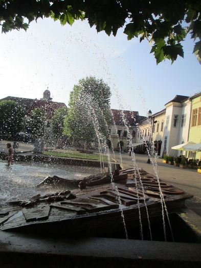 IMG_4414 - Baia Mare