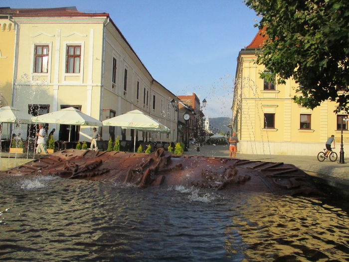 IMG_4415 - Baia Mare