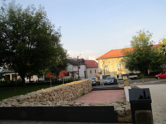 IMG_4457 - Baia Mare