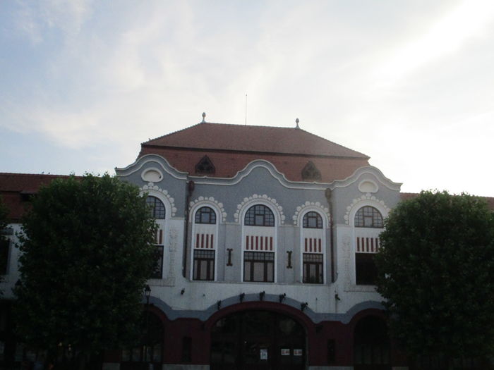 IMG_4467 - Baia Mare