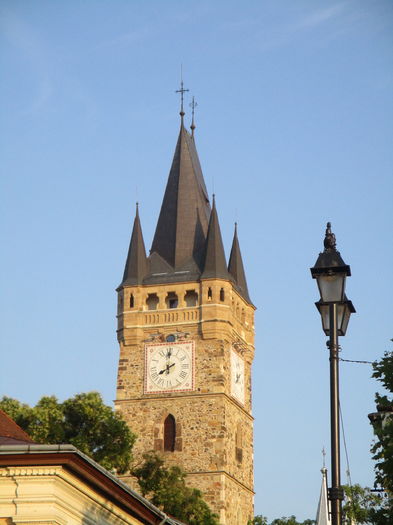 IMG_4468 - Baia Mare