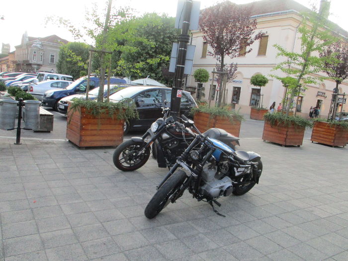 IMG_4470 - Baia Mare