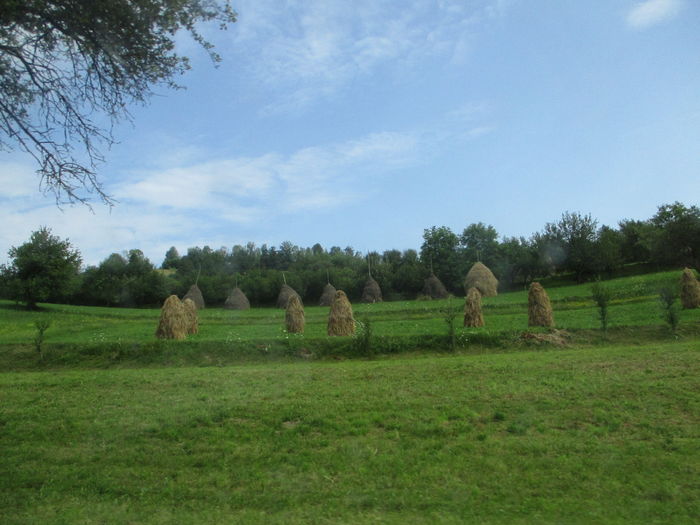 IMG_4521 - Sighetul Marmatiei