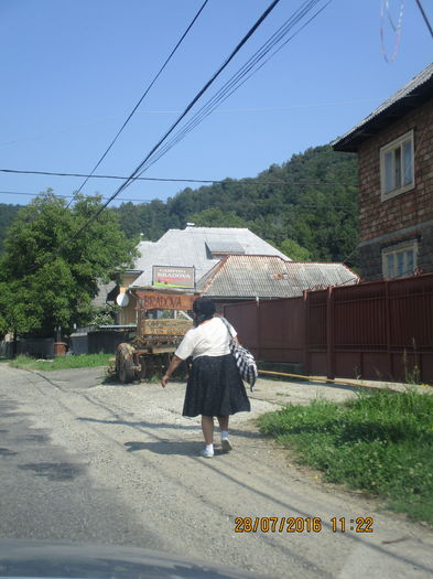 IMG_5034 - Traditional in Maramures