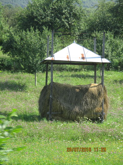 IMG_5044 - Traditional in Maramures