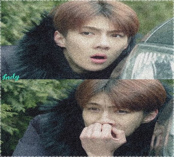 ╳ 347 days l 30.07.2016 ╳ - I just love the sound of your voice