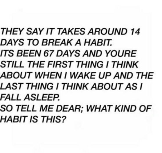 wow.wow.
