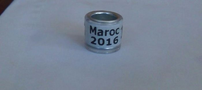 MAROC 2016 - C C MAROC