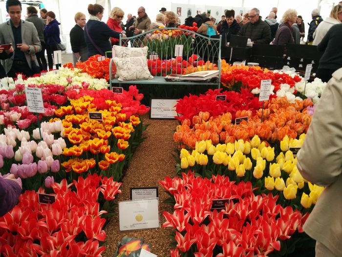 IMG_20160416_130315 - Cardiff - RHS Flower Show - 2016