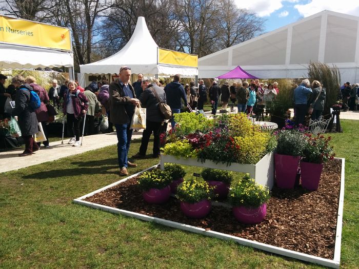 IMG_20160416_141016 - Cardiff - RHS Flower Show - 2016