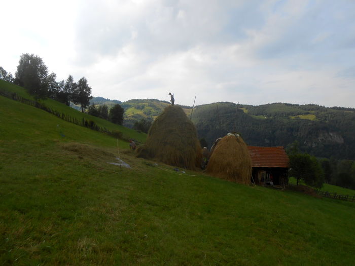 la fan; printre primele clai din cariera:) cat de cat am gatat-o:)
