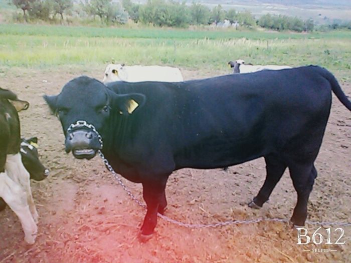 B612_20160725_204805