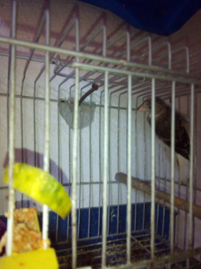 IMG_20160805_084125_17CS