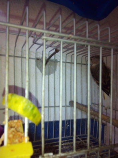 IMG_20160805_084124_16CS