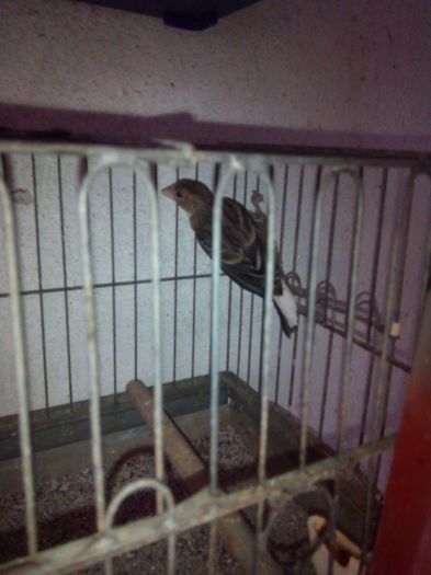 IMG_20160805_084102_18CS