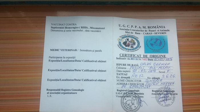 Certificatul de origine