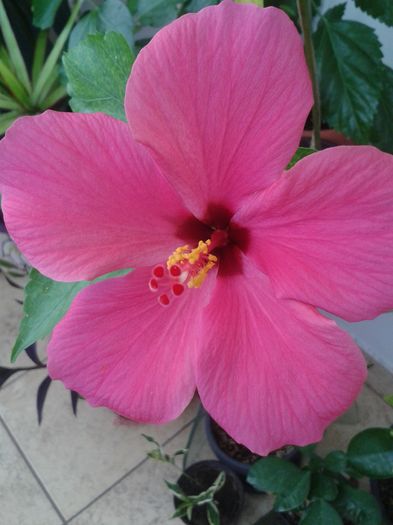 20160806_101220
