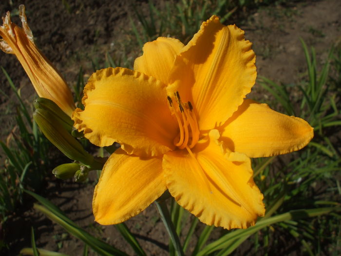 DSCF9175