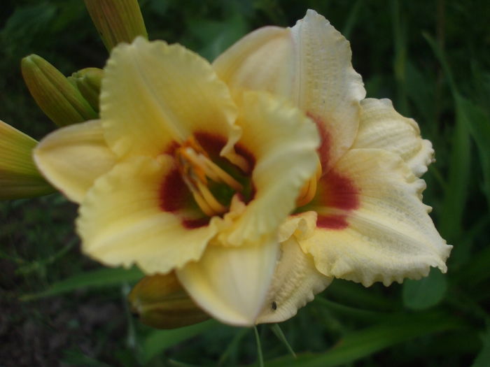 DSCF9184