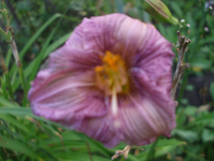 DSCF9191