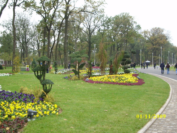 parcul tineretului 1 nov 2009 005