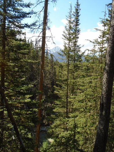 mm_96g_05082016_jahnston_canyon
