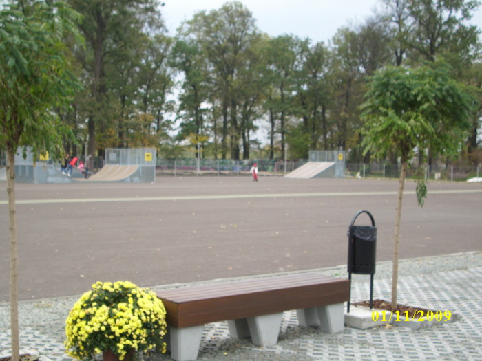 parcul tineretului 1 nov 2009 038