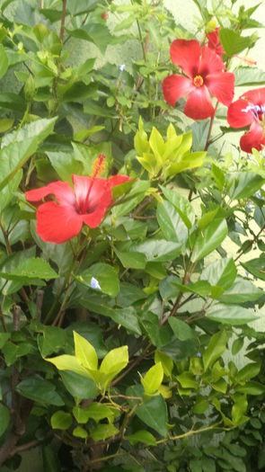 DSC06149 - august 2016