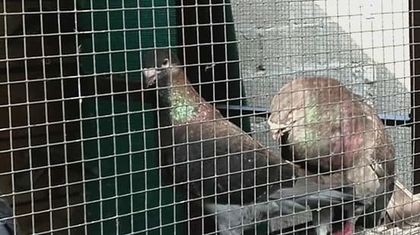 FB_IMG_1470560770038