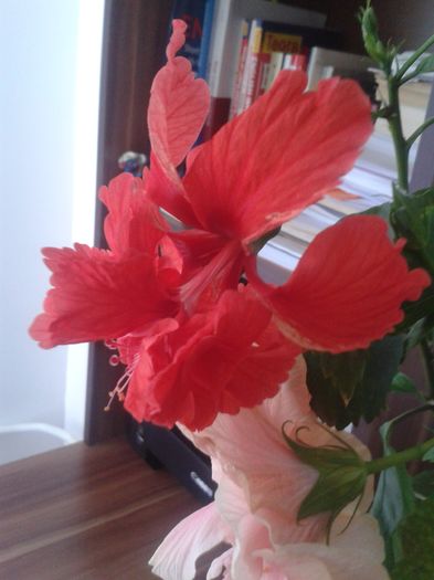 20160807_122025