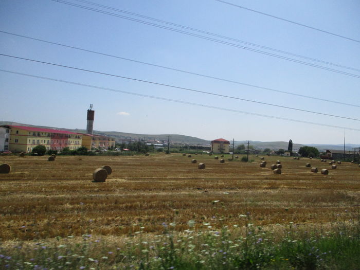 IMG_4375 - Cluj