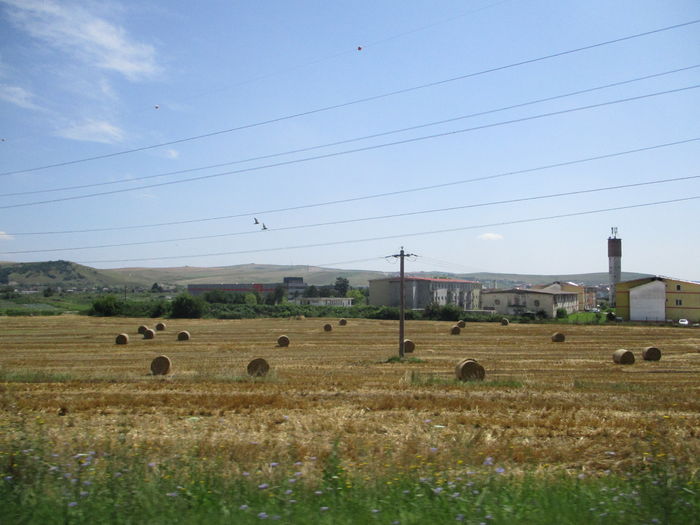 IMG_4377 - Cluj