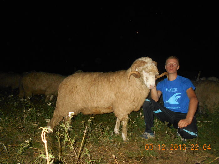 Picture 037 - Berbeci 2015-2016