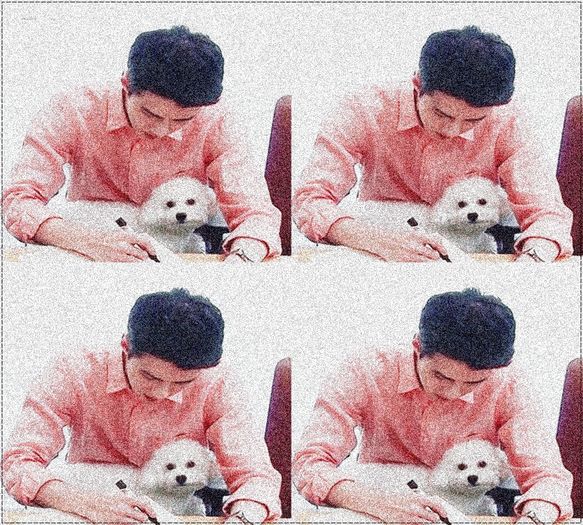 ╳ 355 days l 07.08.2016 ╳