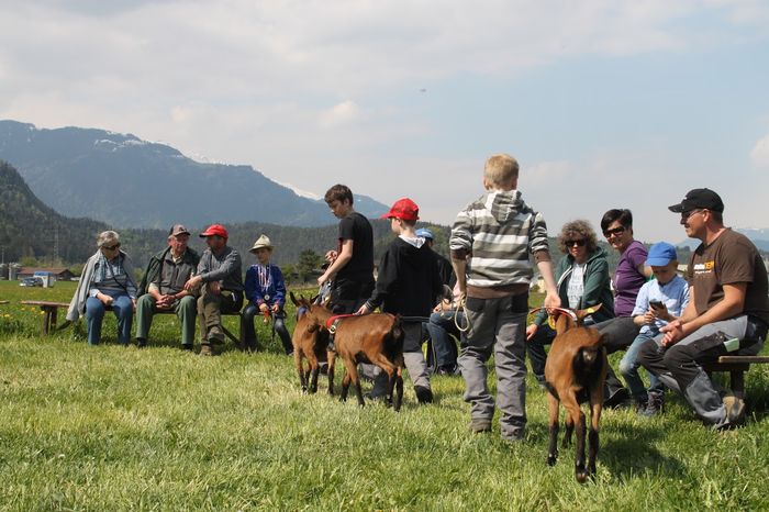 Copii cu Alpinele-jh88