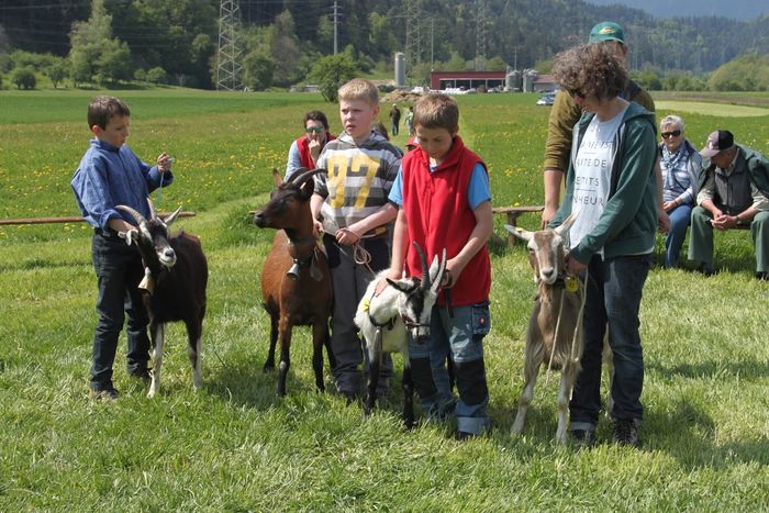 Fiecare cu a lui-8yyy